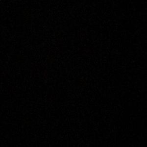 Meet your Posher, Alannah